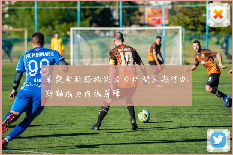 东契奇新搭档实力分析湖人期待凯斯勒成为内线屏障