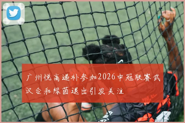 广州悦高递补参加2026中冠联赛武汉合和绿茵退出引发关注